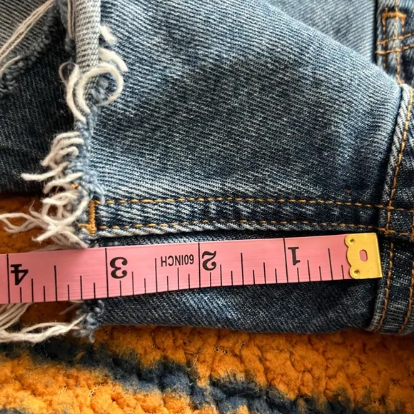Anine Bing Gina shorts size 27