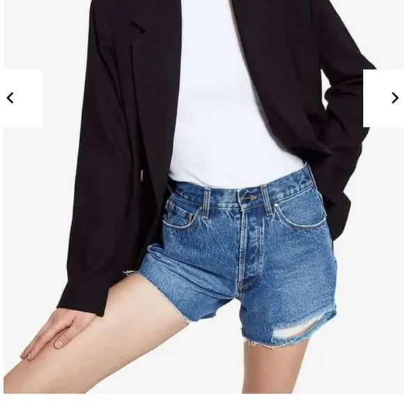 Anine Bing Gina shorts size 27
