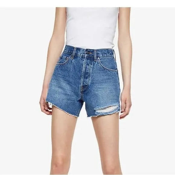 Anine Bing Gina shorts size 27