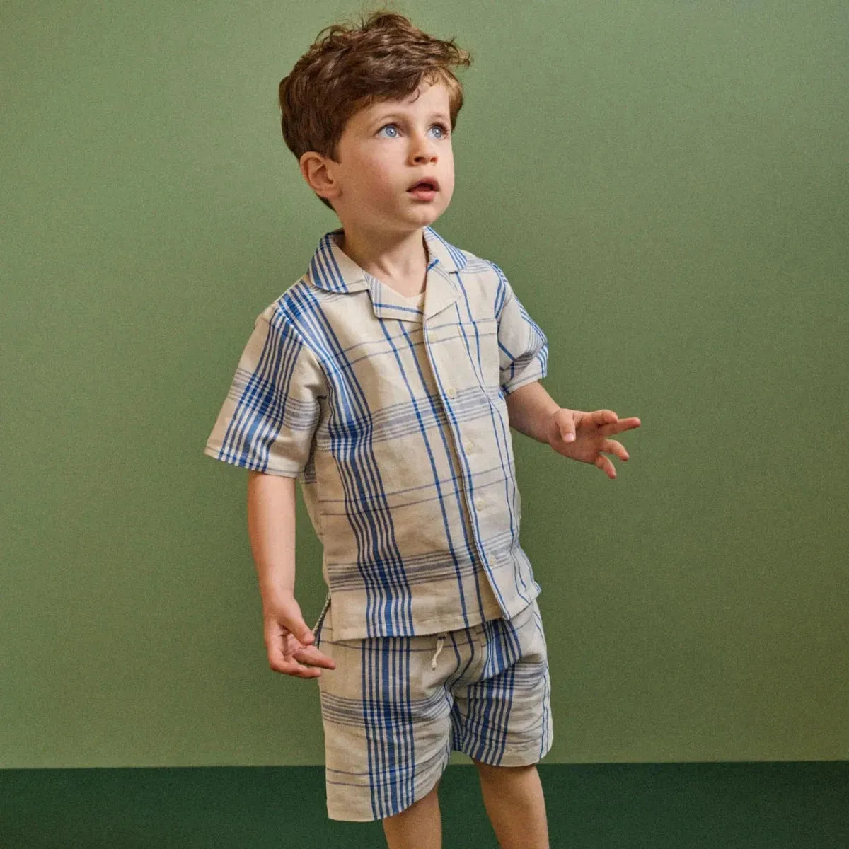 Linen Rafferty Shorts - Clyde Check