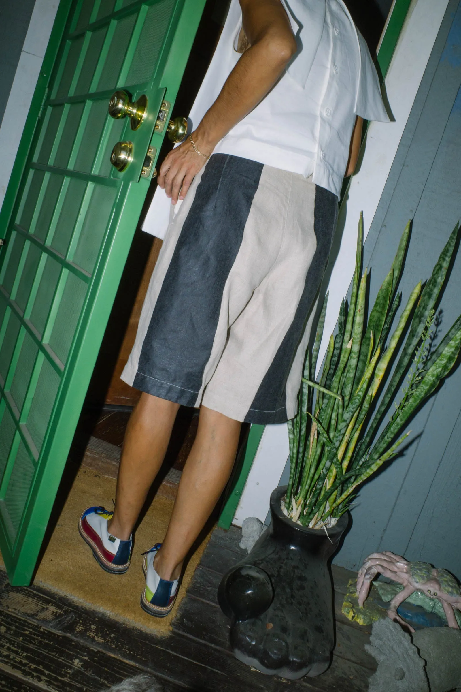 SLSHC